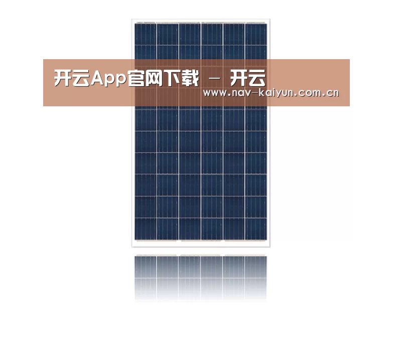 产品名称一