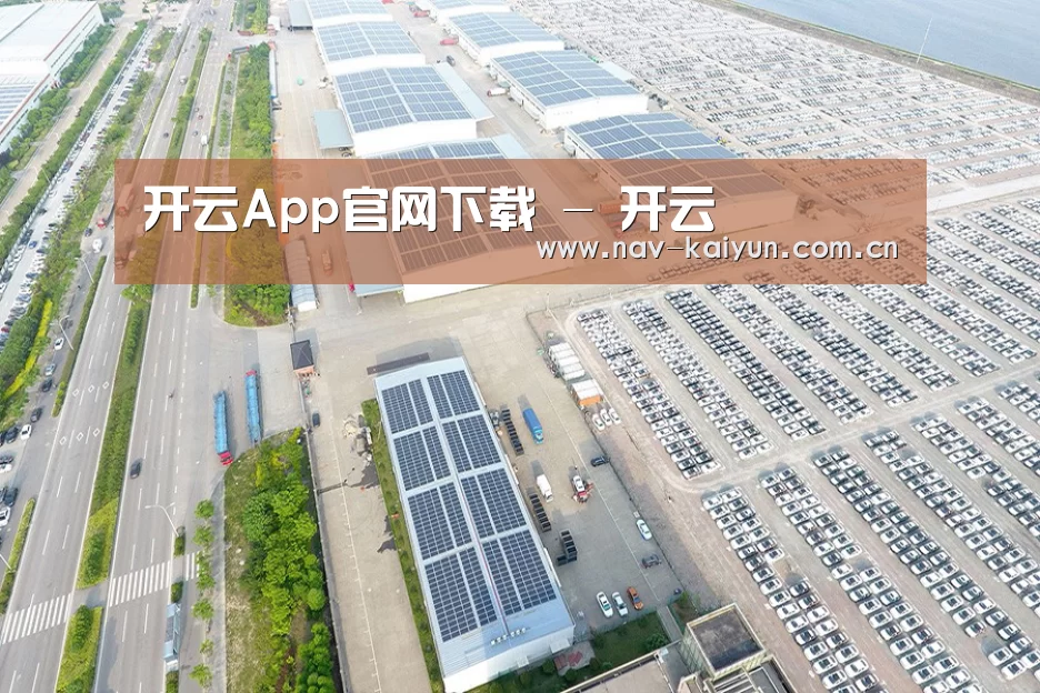 案例展示一