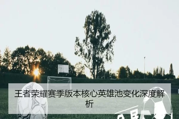 王者荣耀赛季版本核心英雄池变化深度解析