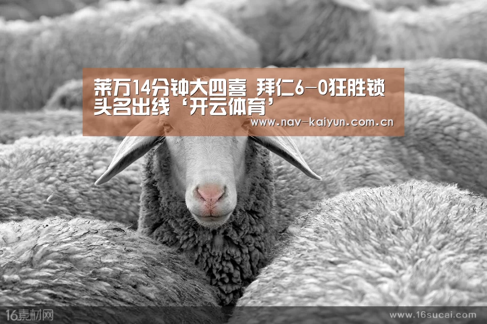 开云App下载